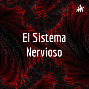 Funciones del sistema nervioso